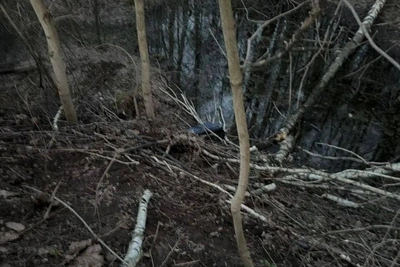 Тело мужчины с ножевыми ранами найдено в чемодане у кладбища