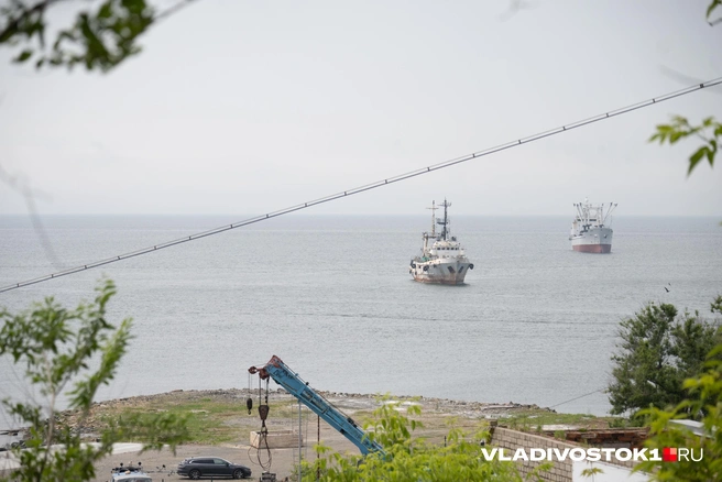 Источник: Елена Буйвол / VLADIVOSTOK1.RU