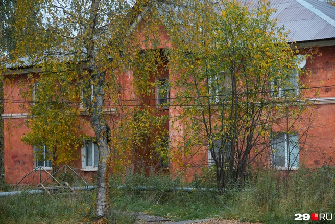 Источник: Иван Митюшёв / 29.RU