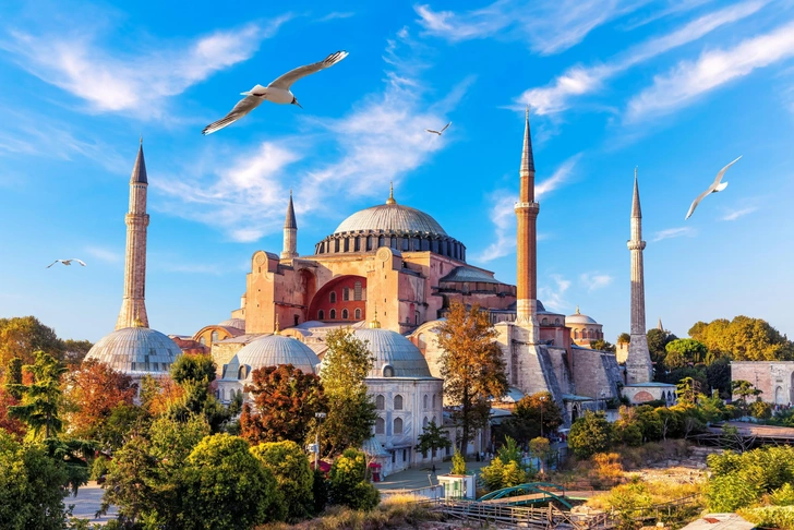 Источник: AlexAnton/Shutterstock/Fotodom.ru
