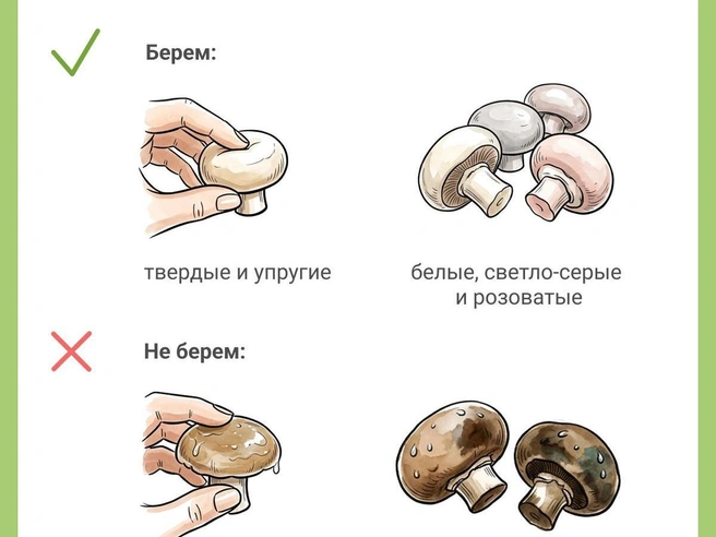 Хранить шампиньоны необходимо в холодильнике, соблюдая срок годности, указанный на упаковке. Комнатная температура для хранения не подходит. | Источник: Юрий Орлов / Городские медиа
