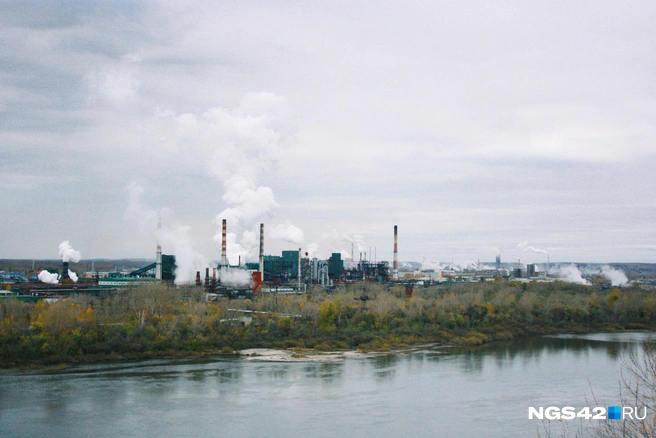 Противоположный берег реки можно рассмотреть как на ладони | Источник: Татьяна Ирискина / NGS42.RU