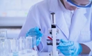 Исследование King Fahad Medical: верблюжья моча не помогает при раке