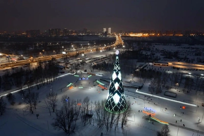 Жители Красноярска требуют обновить главную городскую елку