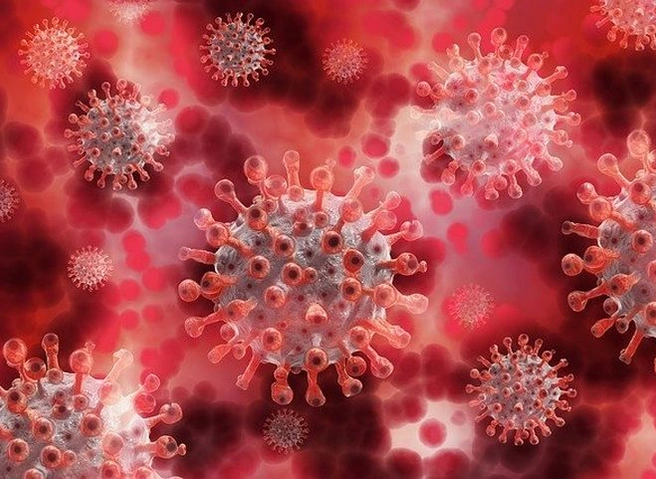 За последние сутки коронавирус подтвердился у 31 рязанца | ya62.ru