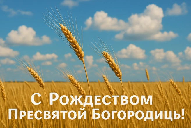 Источник: Городские медиа
