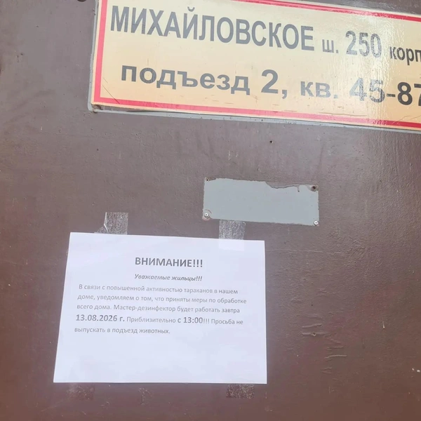 Однако в нем живут тараканы | Источник: Светлана Коновалова / YA62.RU