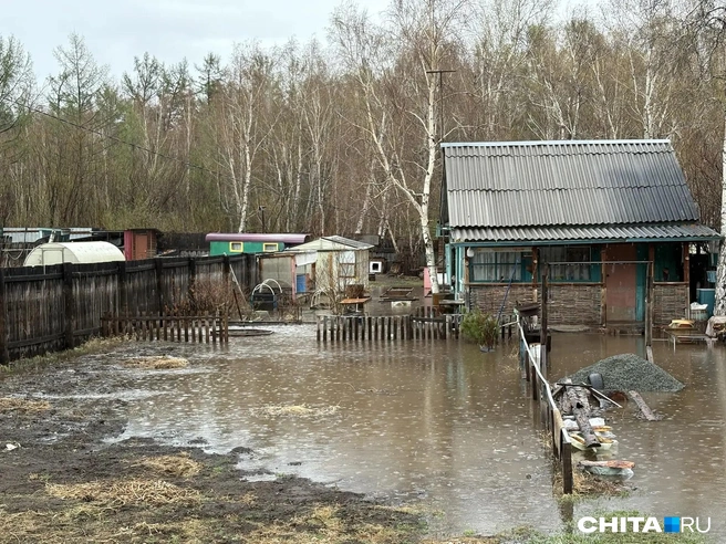 Источник: Егор Захаров / CHITA.RU