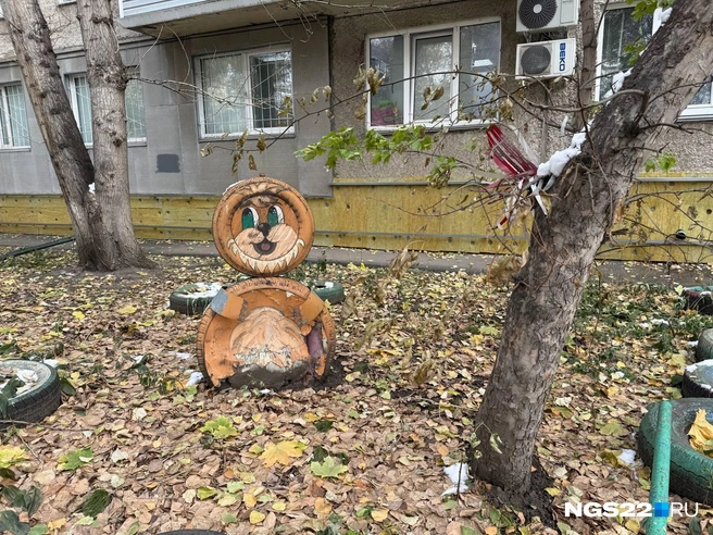 Источник: Полина Шевчукова / NGS22.RU