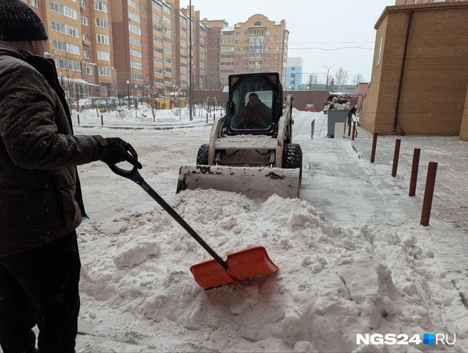 Они в том числе арендовали «бобкэт» | Источник: читатель NGS24.RU