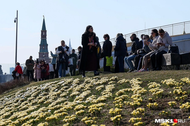 МЧС выпустило экстренное предупреждение об аномальной жаре в Москве и области | Источник: Артем Устюжанин / MSK1.RU