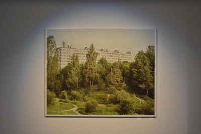 Чибис раскрыл планы по развитию современного искусства