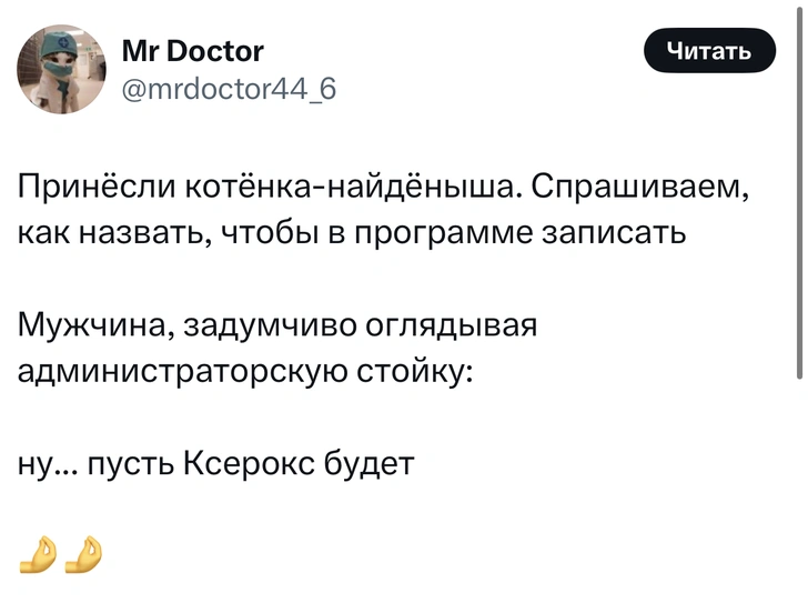 Источник: X (Twitter)