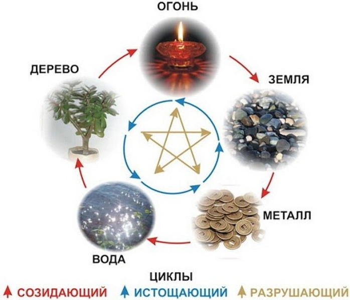 Как расположение плиты на кухне влияет на отношения с супругом и здоровье детей — ответ вас удивит