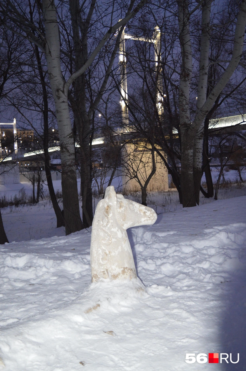 Лошадка, ты в порядке? | Источник: Анастасия Баринова / 56.RU
