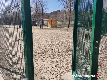 Источник: Дмитрий Волгин / Voronezh1.ru