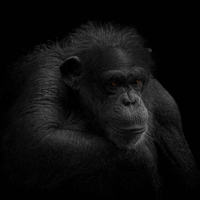 Источник: Miroslav Kukucka / Fine Art Photography Awards 2026