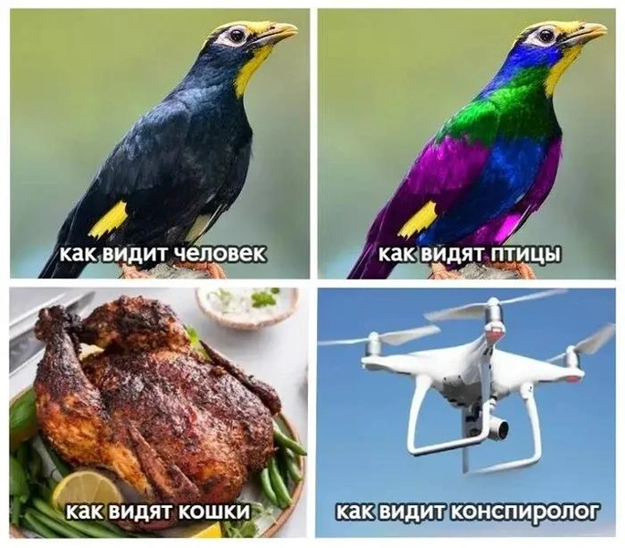 Источник: Соцсети