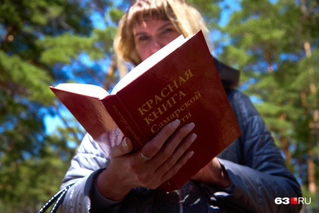 Лучше внимательно изучите страницы нашей Красной книги перед тем, как отправляться в лес | Источник: Роман Данилкин / 63.RU
