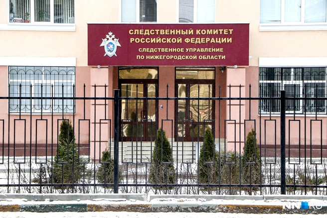 В Нижегородской области расследуют уголовное дело, связанное с выдачей земли многодетным семьям | Источник: Наталья Бурухина / NN.RU