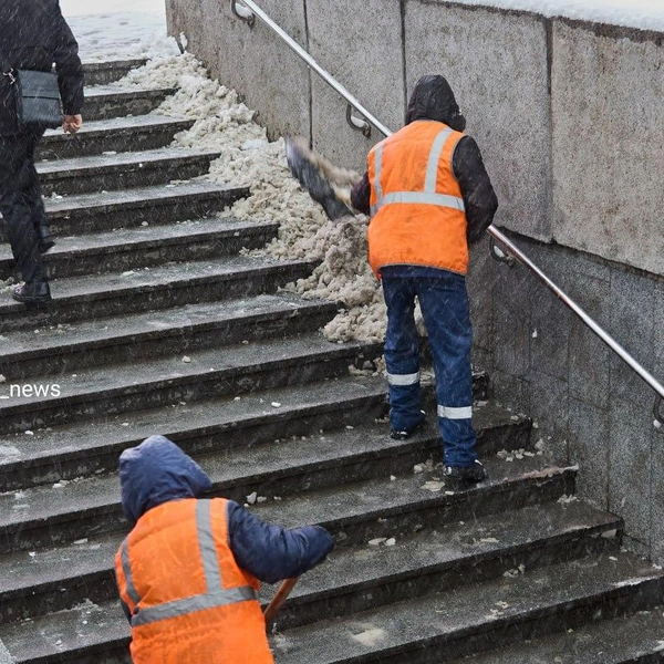 Источник: НГС — новости Новосибирска / Телеграм