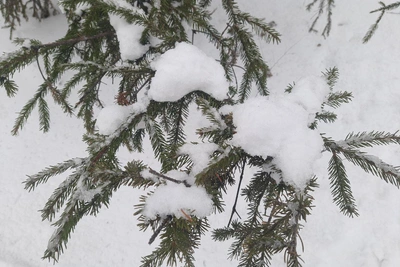 Погода в Оренбуржье на выходные: суббота и воскресенье