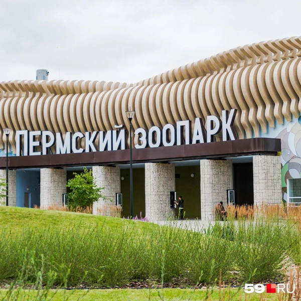 У входа уже стоят электронные кассы, можно будет покупать билеты через них | Источник: Тимофей Калмаков / 59.RU