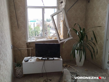 Источник: Дмитрий Волгин / Voronezh1.ru