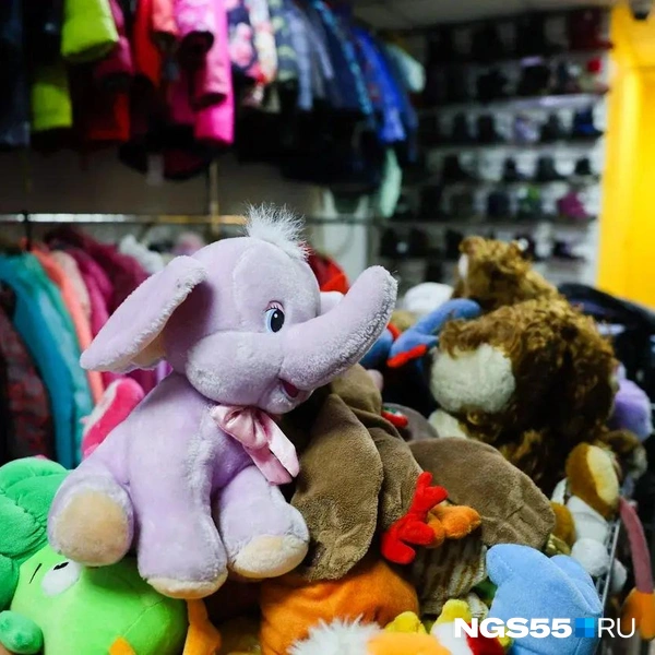 Игрушки здесь чистые  | Источник: Евгений Софийчук / NGS55.RU