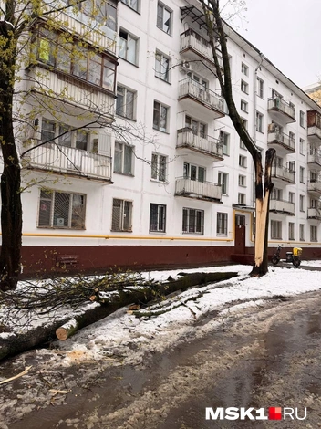 Такую картину жители Проспекта Вернадского наблюдали 28 апреля | Источник: Софья Чатинян / MSK1.RU