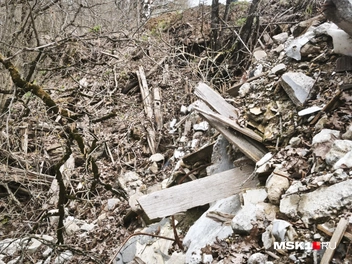 Отходы уже заходят в соседний лес | Источник: Михаил Мечев / MSK1.RU
