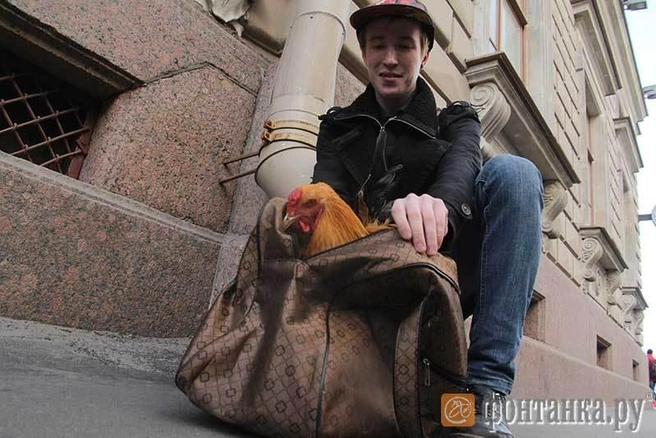 Источник: Илья Трусов