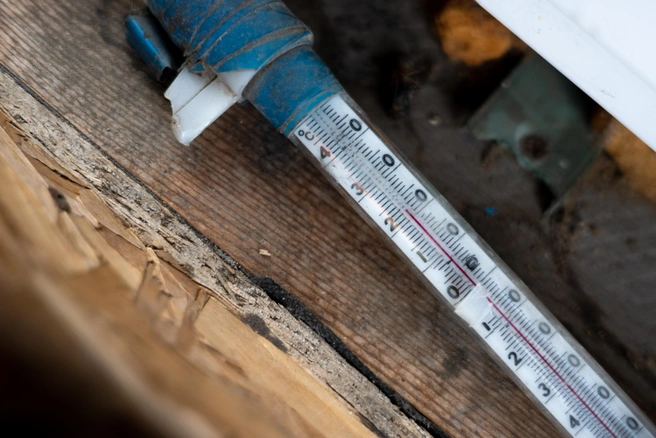 В Новосибирске прогнозируют значительные ночные морозы | 142.ru