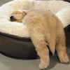 userpic__sunny.borodina