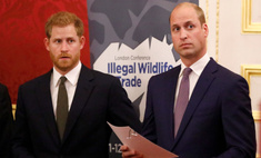 Гарри и Уильям отказались произносить речь вместе на церемонии в честь юбилея принцессы Дианы