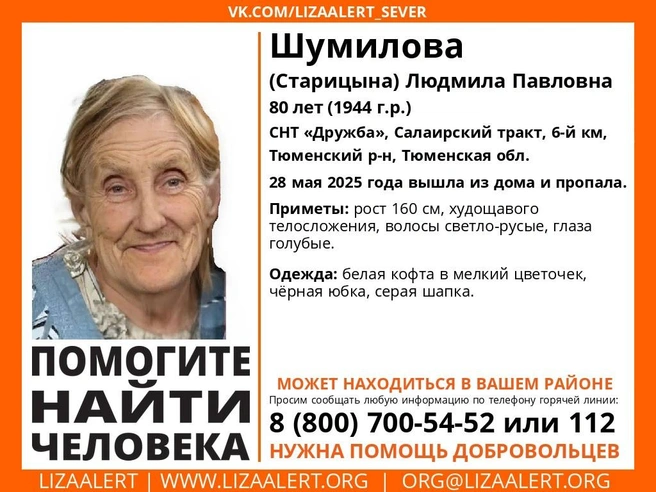 Волонтеры просят помощи | Источник: Лиза Алерт / Vk.com