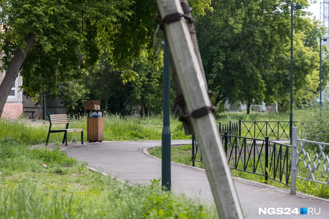 Не все убирают за собой, по видимому | Источник: Мария Ленц/ NGS24.RU