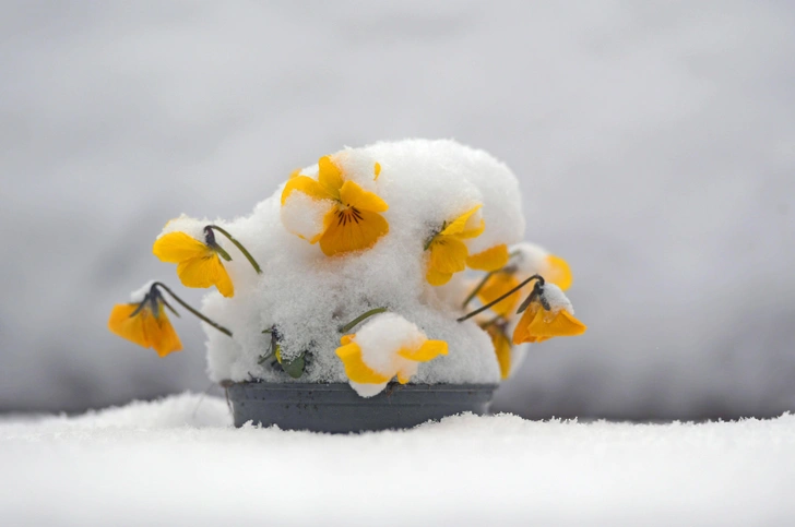 Источник: MiS / Legion Media