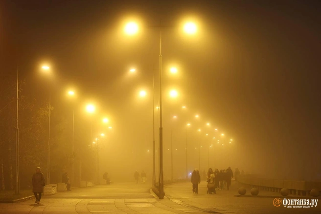 Вот вам и ноябрь. Петербург скрылся в тумане | Источник: Марина Мамонтова / «Фонтанка.ру»