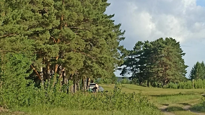 Всего одна палатка. А в жару их здесь десятки | Источник: Анна Сарапульцева /45.RU