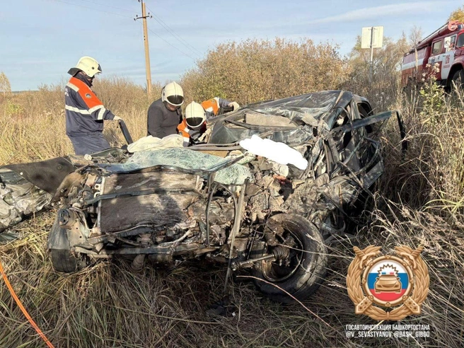 Источник: Госавтоинспекция Башкирии