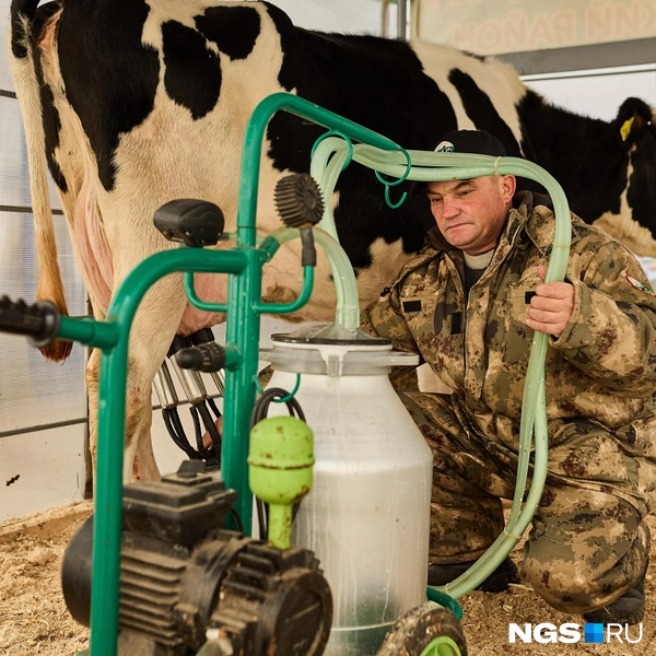 Переносной доильный аппарат | Источник: Александр Ощепков / NGS.RU