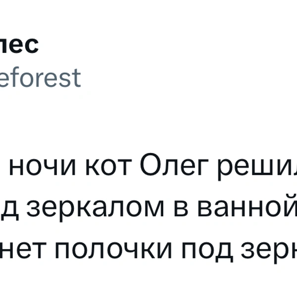 Источник: X (Twitter)