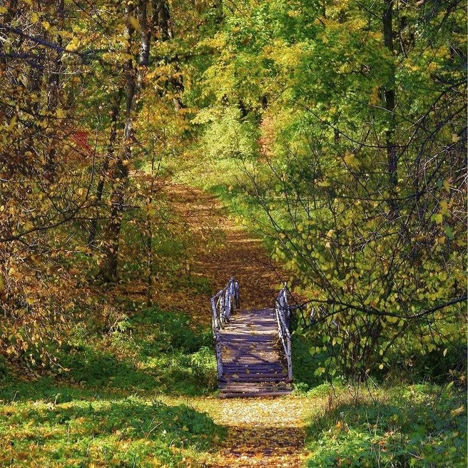 Ноябрьские праздники продлятся несколько дней | Источник: Музей-усадьба «Ясная Поляна» / ВКонтакте