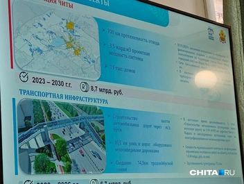 Источник: Тамара Ван-Фу-Ли / CHITA.RU