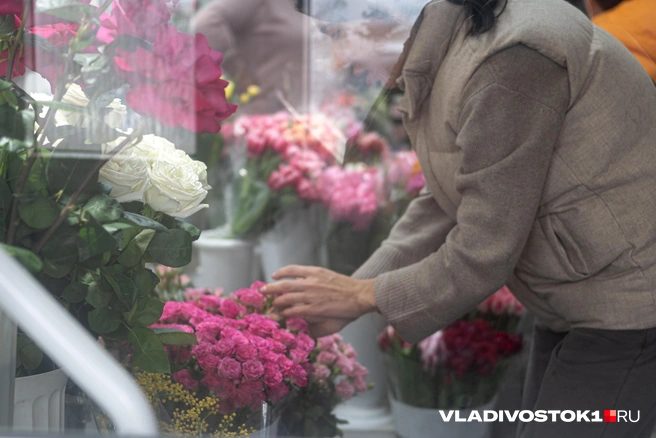 Источник: Елена Буйвол / VLADIVOSTOK1.RU