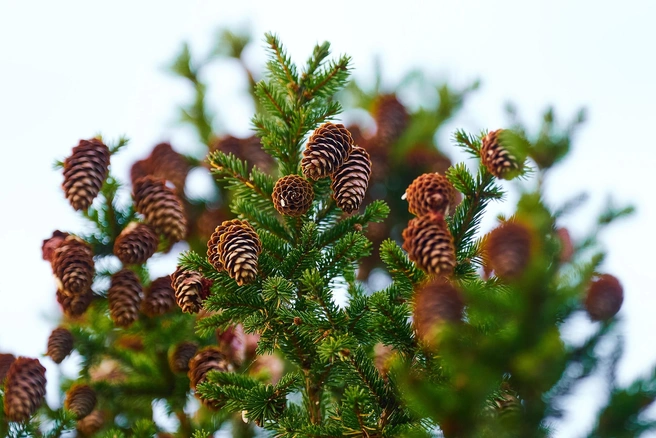 Источник: Фотограф Ирина Лаптева Ханты-Мансийск / Vk.com