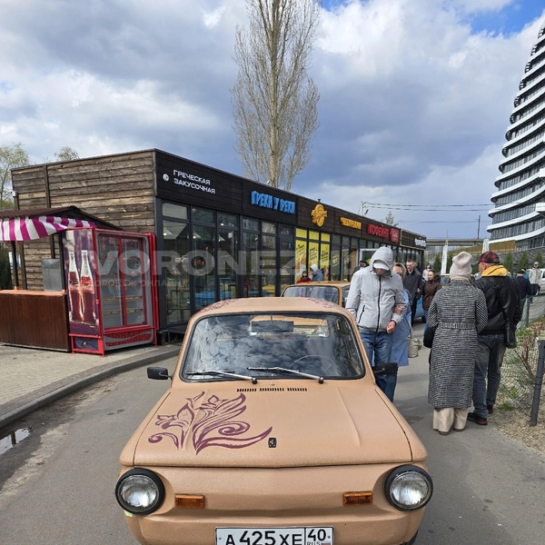 Источник: Читатель Voronezh1.ru