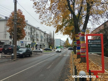 Источник: Дмитрий Волгин / Voronezh1.ru