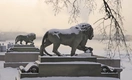 Без горячей ванны и алкоголя. Петербургский врач рассказал, как отогреть переохладившихся